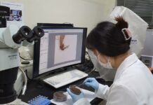 최근 3년간 경기도 말라리아 환자 4~7월에 60% 집중