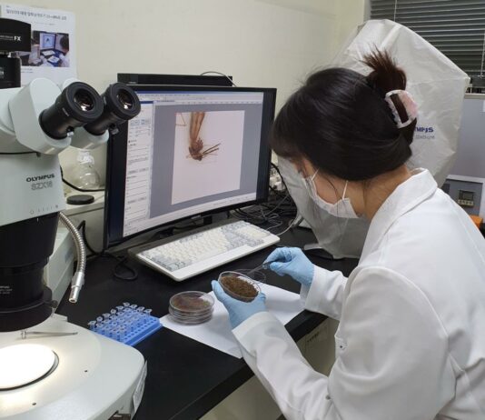 최근 3년간 경기도 말라리아 환자 4~7월에 60% 집중