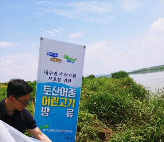 경기도 해양수산자원연구소, 토속 어종 쏘가리 치어 6천 마리 강, 하천 방류