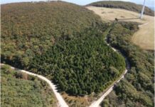 숲가꾸기 우수사업장을 찾아라