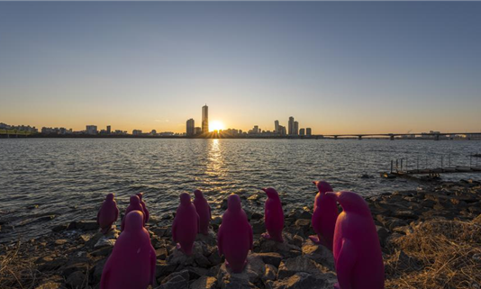 `한강 노을명소 찾기` 사진 공모전 수상작 발표…19일부터 전시