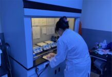 경기도, 환경 분야 청년 일자리 지원 ‘연수에서 취업까지 한 번에’