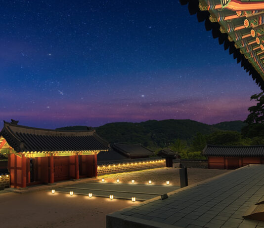 강씨봉자연휴양림에서 힐링도 하고 크리스마스 소품 만들기도 함께해요