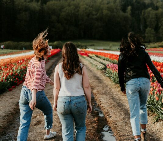 봄의 걷기, 생명력을 되찾는 자연의 선물 thee women walking between orange flower field