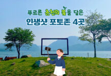 푸르른 춘천의 봄을 담은 인생샷 포토존 4곳