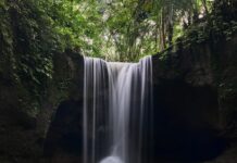 여름철 피로 해소 방법 a waterfall in a forest