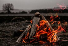 이산화탄소 소화약제 방출 시 냄새 나게한다…질식 사고 예방 brown bonfire on gray field