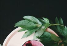 여름철 다이어트를 위한 식사 대용 스무디 레시피 clear drinking glass with juice on white plate