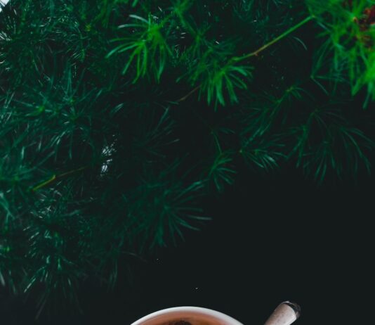 체력 증진과 체중 감량을 위한 운동 및 식단 전략 mug with nuts and milk