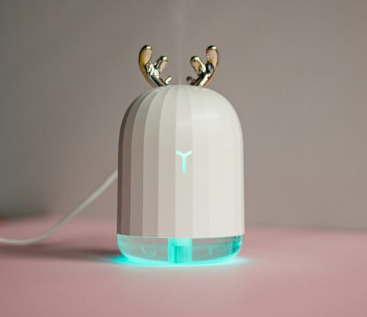 겨울철 면역력 강화법: 실내 환경 개선과 식단 an electronic device with two birds on top of it