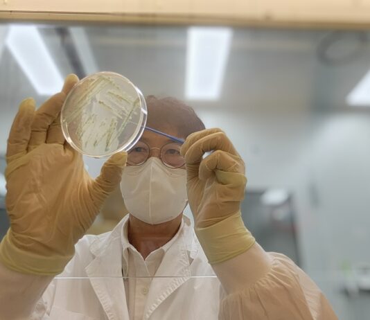 5월 해수서 비브리오패혈증균 검출… 여름철 해산물 주의 당부