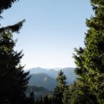 아침 햇살 10분, 바쁜 일상 속 ‘웰니스’ 트렌드로 주목 Framed view of rolling mountains and evergreen trees.