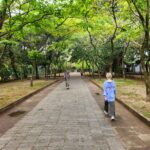 걷기는 최고의 보약이다: 인간이 걷도록 설계된 생물학적 이유 Two people walking down a path in a park