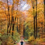 ‘마음도 건강이 필요하다’… 일상에서 실천하는 정신건강 관리법 woman walking on road with trees on side