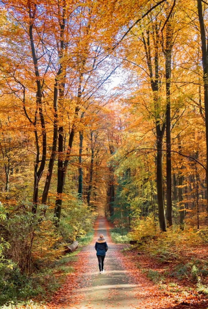 woman walking on road with trees on side