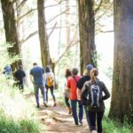 “디지털 디톡스부터 ‘걷기 명상’까지… 스트레스 관리, 단순한 생활 습관이 해답” people walking on dirt road between trees during daytime