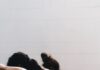 필라테스, 바쁜 일상 속 몸과 마음을 다잡는 생활운동으로 주목 woman in black tank top and black leggings lying on black floor