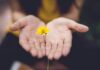 마음챙김 루틴으로 지키는 현대인의 정신건강 selective focus photography of woman holding yellow petaled flowers