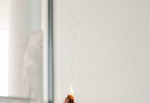 “마음의 체력도 챙기는 시대… 일상 속 실천하는 정신건강 루틴” person holding orange flower in front of white wall