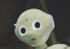 내 손안의 AI, 건강관리에 날개를 달다 white robot toy holding black tablet