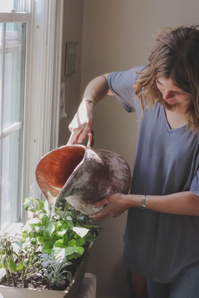 Photo by Cassidy Phillips woman watering plant beside window