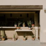 만성피로, 생활 속 ‘작은 변화’로 극복… 일상에 파고든 건강 루틴 주목 Colorful potted plants on a shelf and ground outdoors.