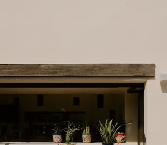 만성피로, 생활 속 ‘작은 변화’로 극복… 일상에 파고든 건강 루틴 주목 Colorful potted plants on a shelf and ground outdoors.
