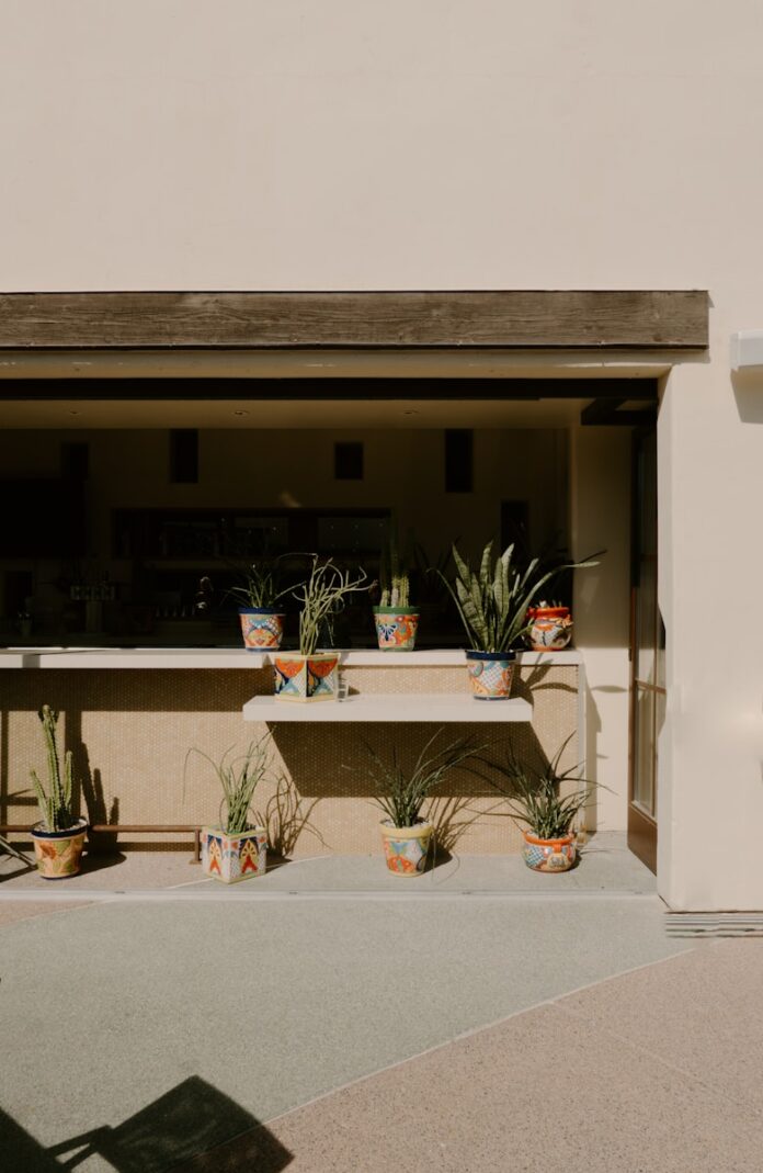 Photo by Emily Irene Photo Co. Colorful potted plants on a shelf and ground outdoors.